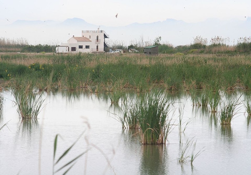 Los humedales de la Pipa y l’Illa mejoran la calidad del agua en la Albufera al reducir pesticidas y metales pesados