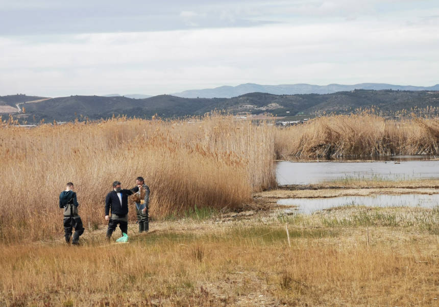 El projecte Wetlands4Climate, amb direcció científica de la UV, guanya el LIFE Award 2026 d’Acció Climàtica