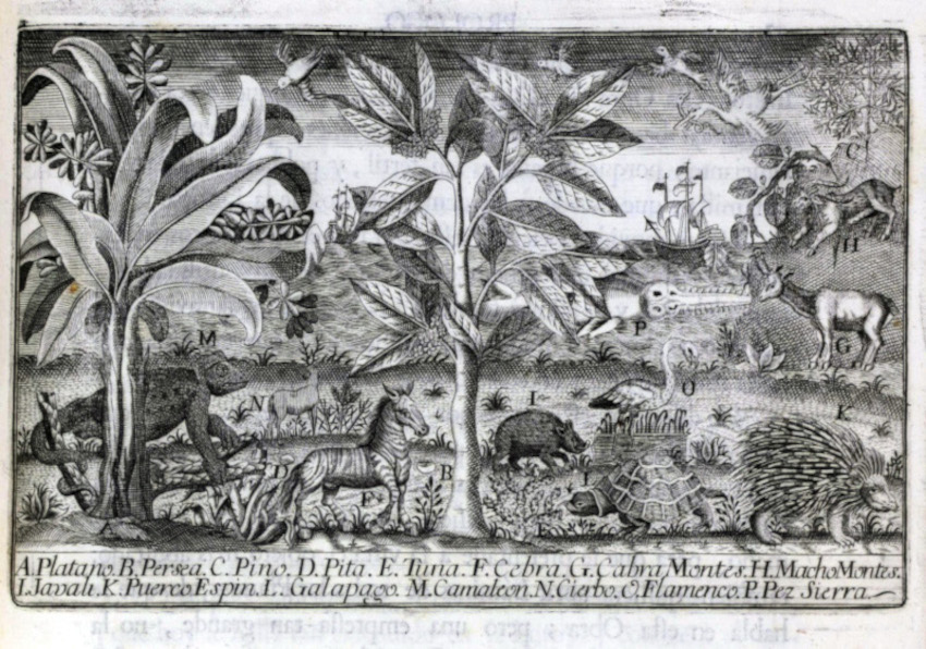 Imagen del evento:Grabado de plantas y animales